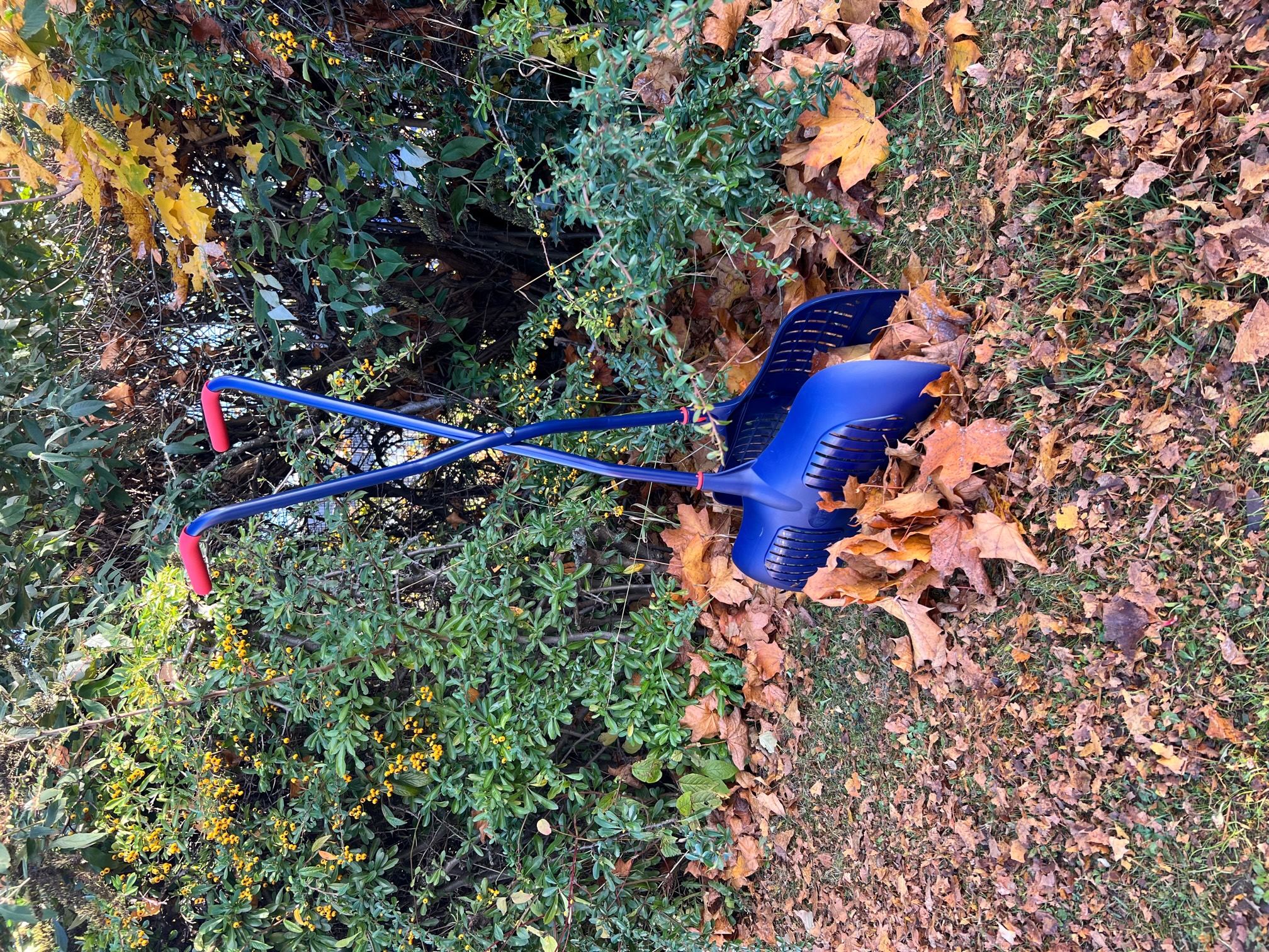 Metal leaf grabber discount